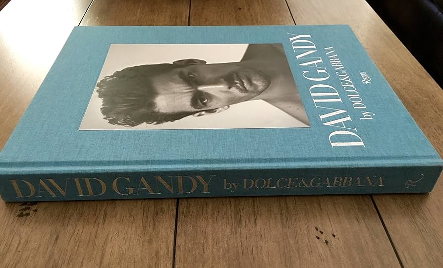 アート・デザイン・音楽 DAVID GANDY by DOLCE&GABBANA DAVID GANDY by DOLCE&GABBANA - メルカリ